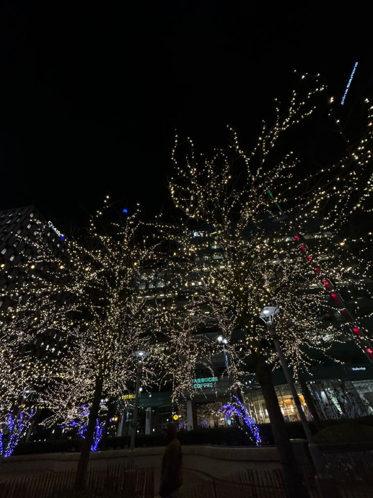 the trees are lit up with christmas lights