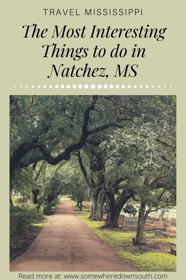 an image of a dirt road surrounded by trees with text that reads travel mississippi the most interesting things to do in natchez, ms