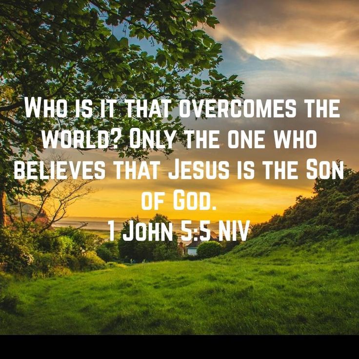 a field with the words, who is it that overcomes the world? only the one who belies that jesus is the son of god