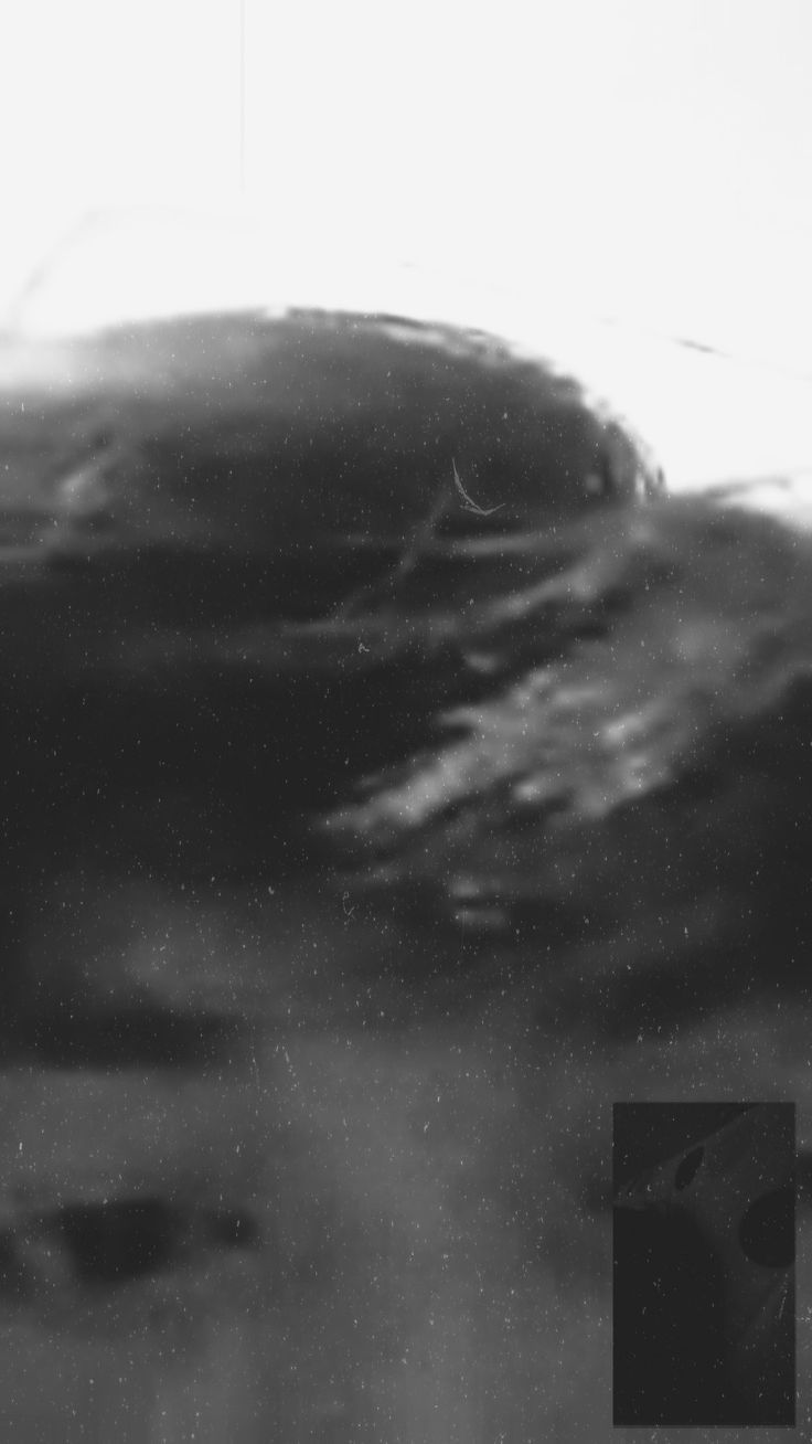 a black and white photo of a man's face with water in the background