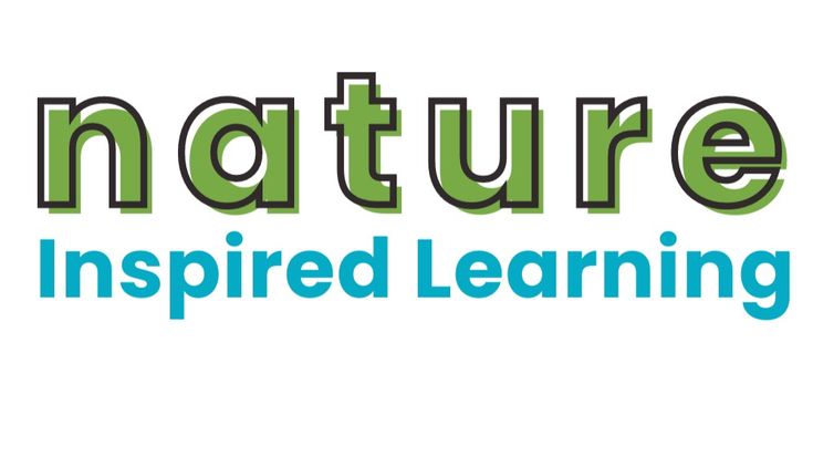 Nature Inspired Learning