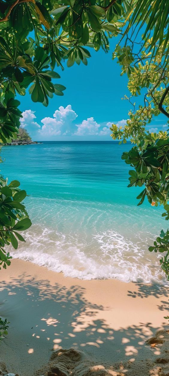 the beach is surrounded by trees and blue water