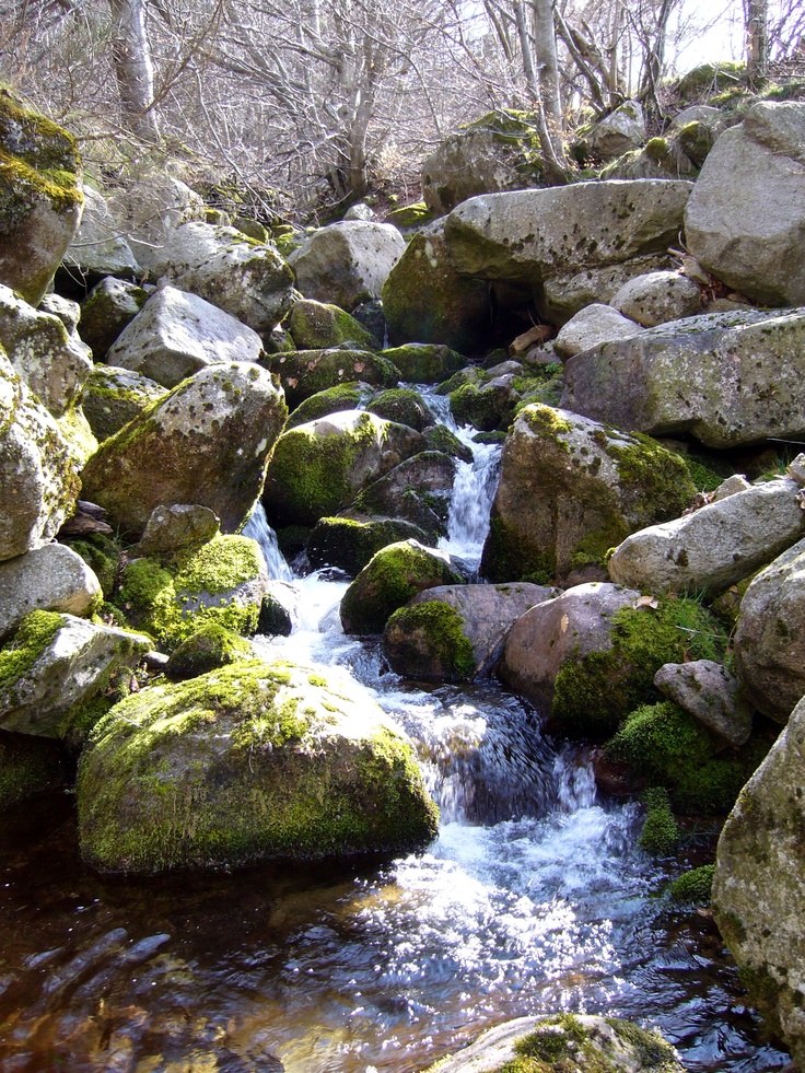 a stream running between large rocks covered in green moss