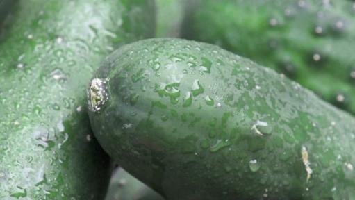 green cucumbers with water droplets on them are piled up in a pile and ready to be eaten