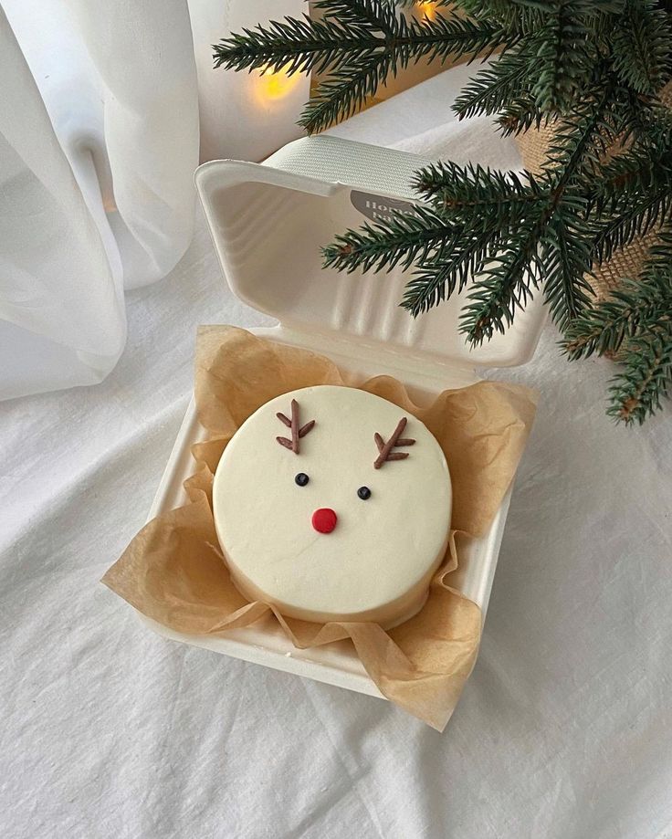 a decorated christmas cake in a box on a white tablecloth next to a pine tree