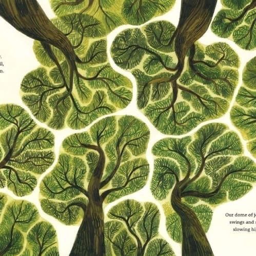 a book cover with trees in the middle and green leaves on it's sides