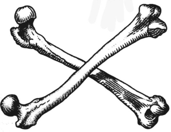 a crossbone with two bones on it, vintage line drawing or engraving stock photo