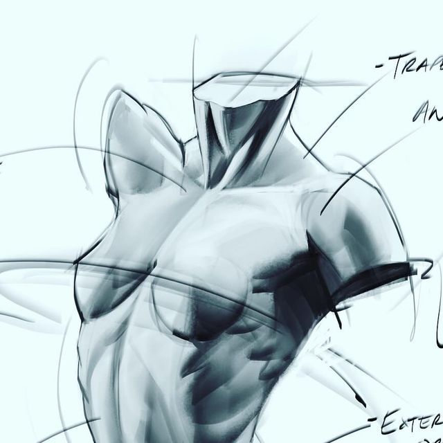 an artistic drawing of a torso and arm with words describing the different parts of it