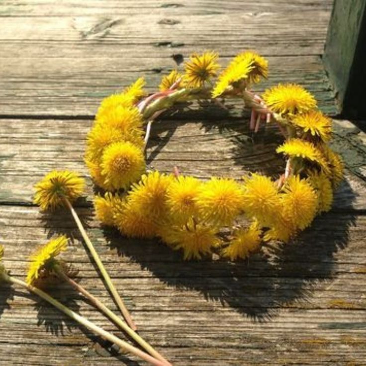 some yellow flowers are laying on a wooden table