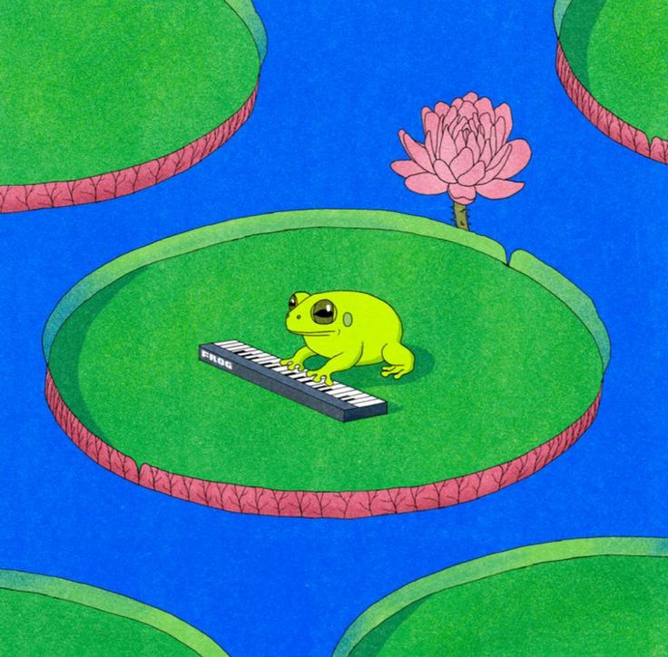 a cartoon frog playing on a keyboard in front of water lilies and a pink flower