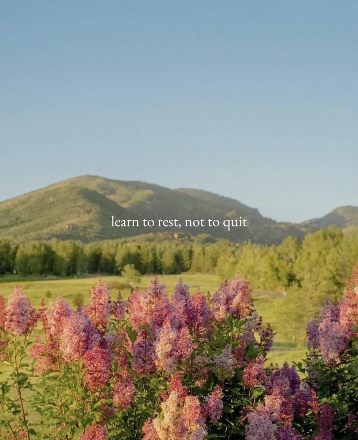 purple flowers in the foreground and mountains in the background with a quote written on it