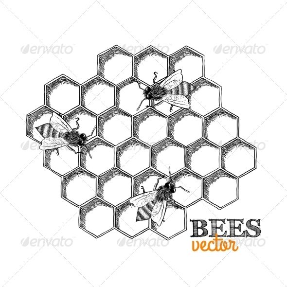 bees on honeycombs with the words bee's nectar in black and white