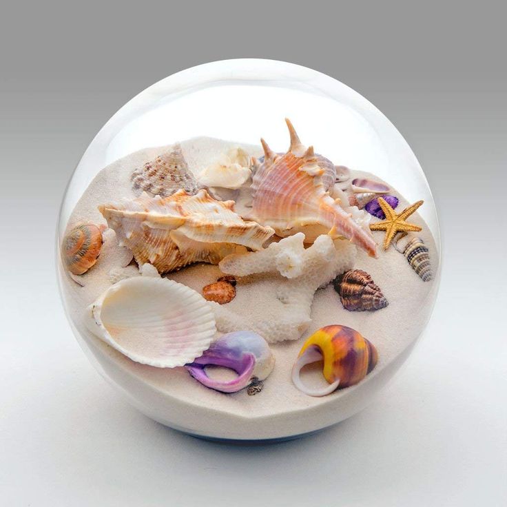 PRICES MAY VARY. Artisan hand blown glass globe Half filled with exotic sand and colorful seashells Sand and seashells are free to move as you swirl the globe Creating a new unique beach scene every time 5 inch diameter, White sand color. Series name: "Cherish" Each sandglobe is a landscape of sand and treasures ever shifting in a hand-blown glass ball. A collectible keepsake, paperweight, or relaxation orb... fall into sandglobelove when you hold the smooth, weighted sphere, gently shake and dr Sand Gifts, Van Gogh Almond Blossom, Globe Art, Beach Theme Bathroom, Unique Beach, Light Images, Flower Phone Wallpaper, Sand Color, Glass Globe