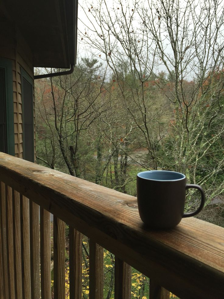 a coffee cup sitting on top of a wooden deck next to a tree filled forest