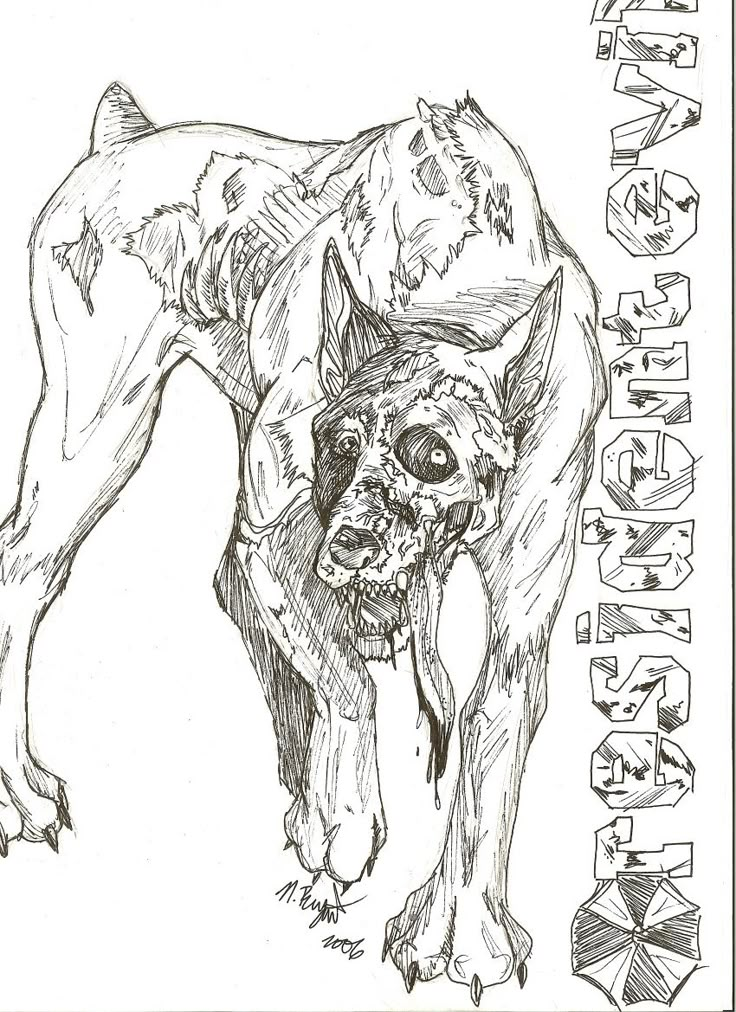 a black and white drawing of a dog