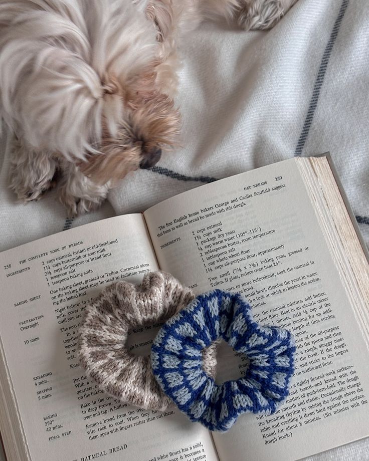 a small dog laying on top of a bed next to an open book with two crocheted hair ties