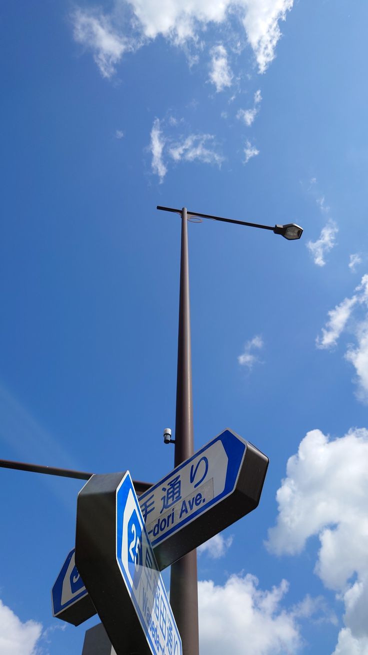 two blue and white street signs sitting on top of a metal pole next to a traffic light