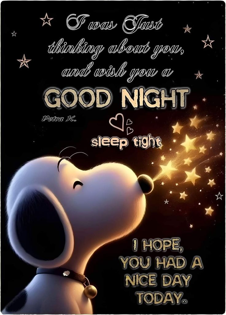 a snoopy dog with stars on it saying good night