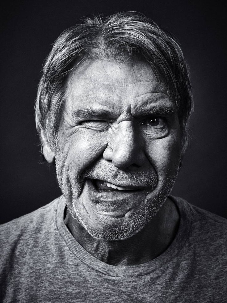 Funny portrait of actor Harrison Ford Andy Gotts, Famous Portraits, 얼굴 드로잉, Drawing People Faces, Actors Male, Celebrity Photographers, Mark Hamill, Famous Photographers, Face Photography