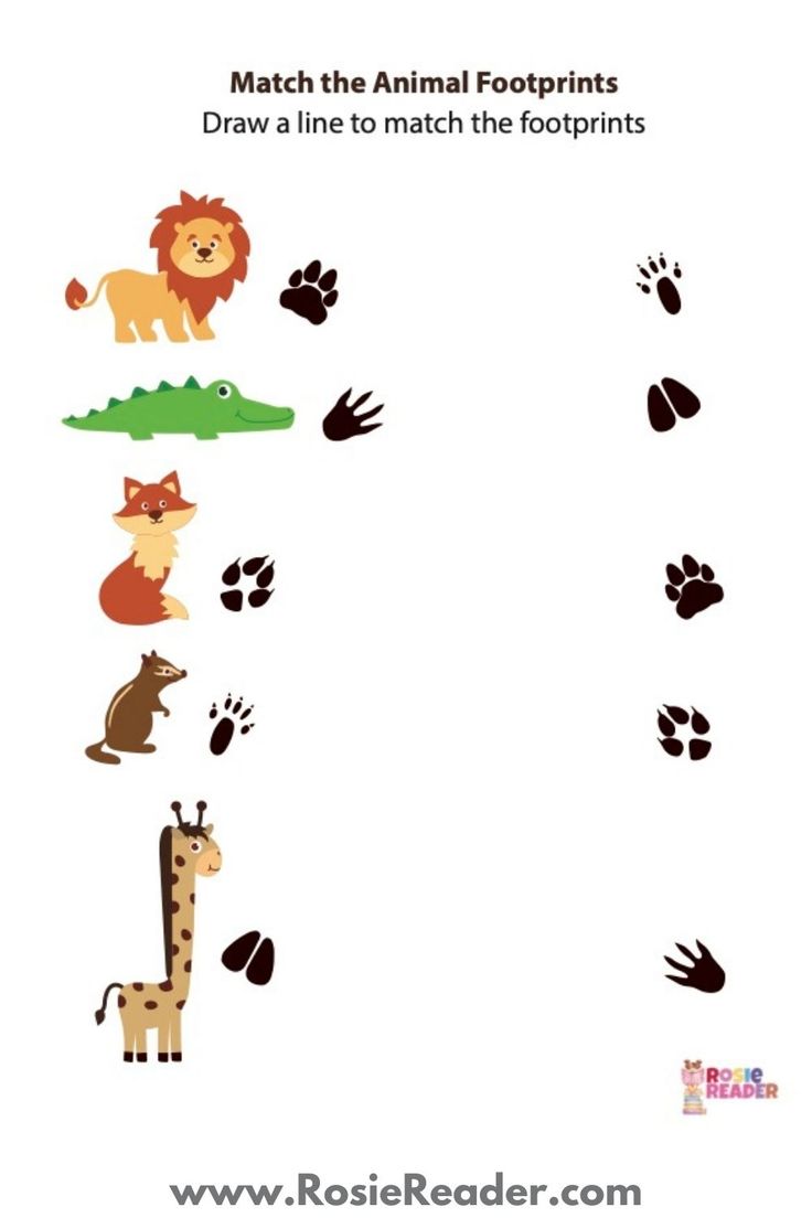 an animal matching game for children to learn how to match the animals with their footprints