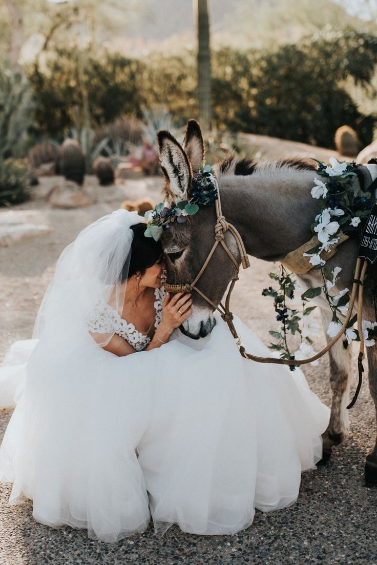 a woman kneeling down next to a donkey wearing a bridal gown and headpiece