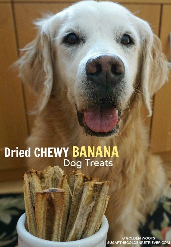 a dog sitting next to a bowl of food with the caption dried chewy banana dog treats