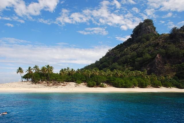 an island in the ocean with palm trees on it and a person swimming near by