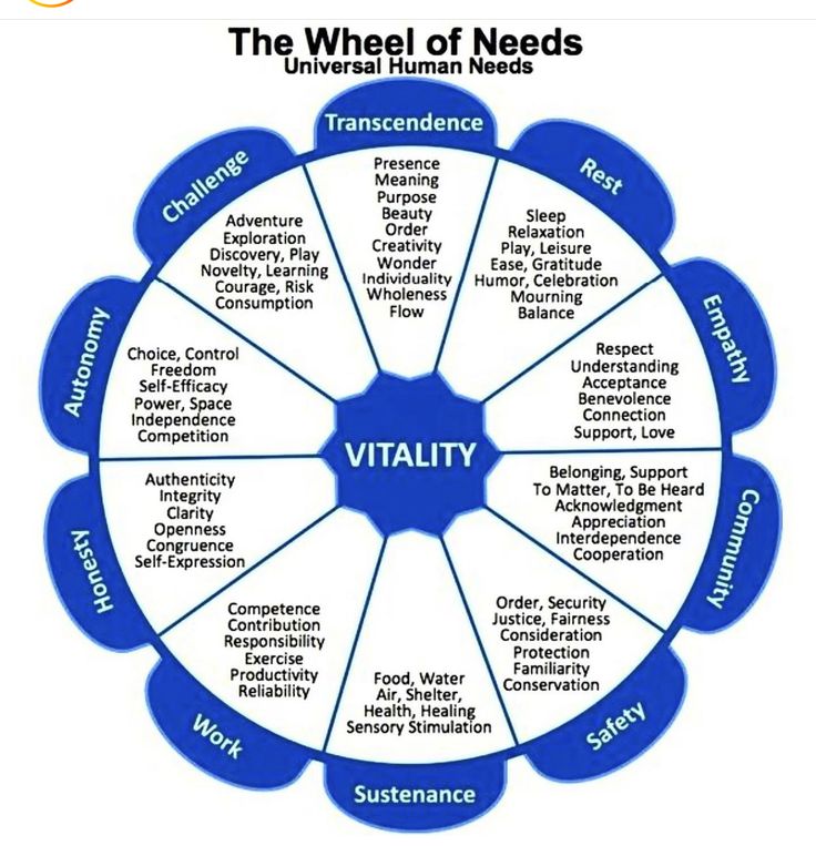 the wheel of needs that is used to help people understand what they are doing in their life