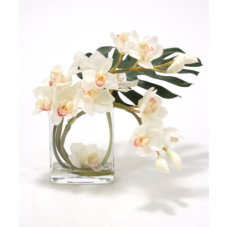 an arrangement of white flowers in a square glass vase on a white surface with green leaves