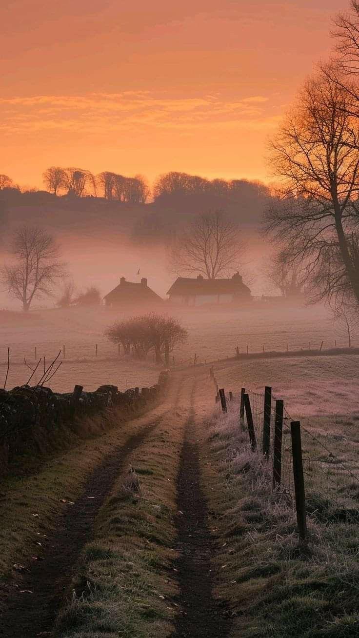 the sun is setting over a foggy country road