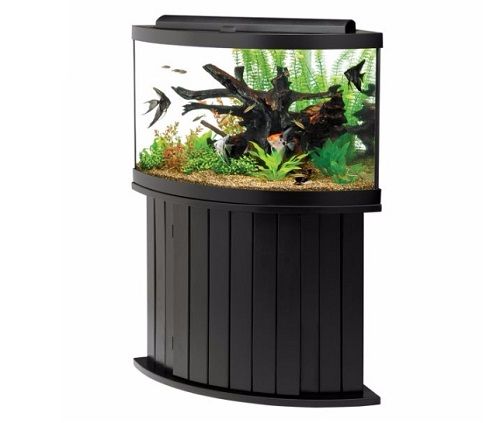 an aquarium with plants and fish in it's tank on top of a stand