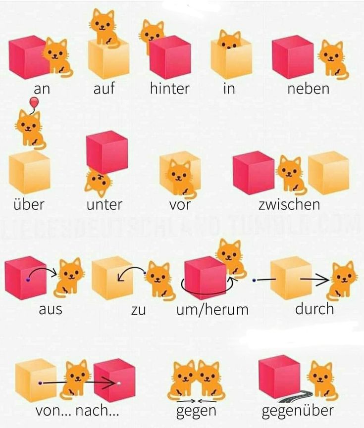 an image of different shapes and sizes of animals in the same language, including letters