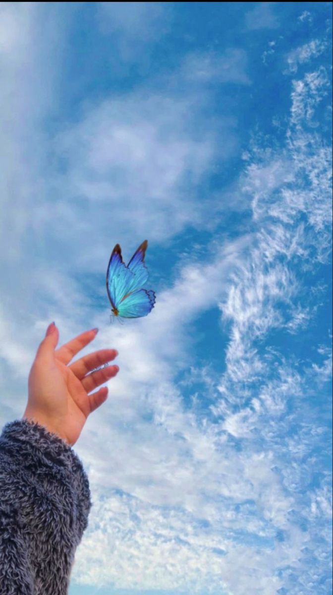 a hand reaching for a blue butterfly in the sky