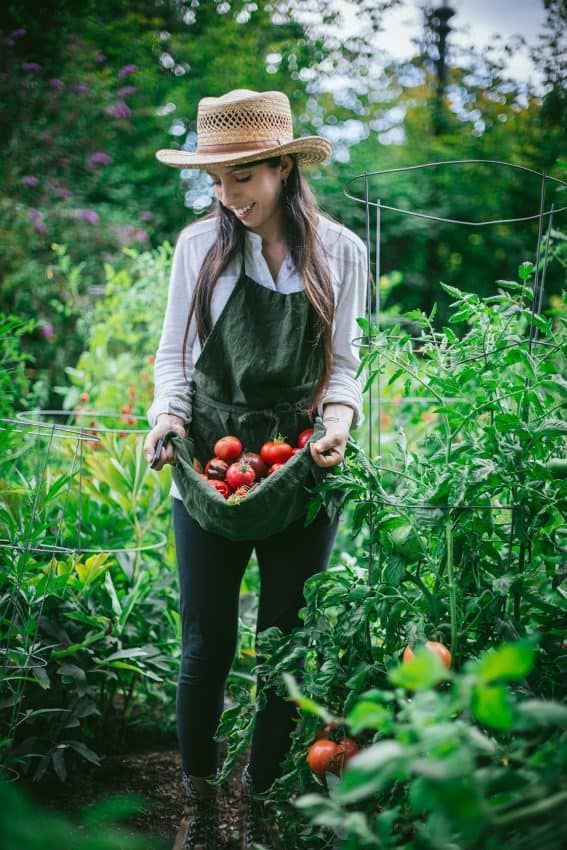 Farm Fashion, Tomato Season, Flower Bed Ideas, Farm Clothes, Farm Lifestyle, Gardening Outfit, Tomato Garden, Garden Photography, Bed Ideas