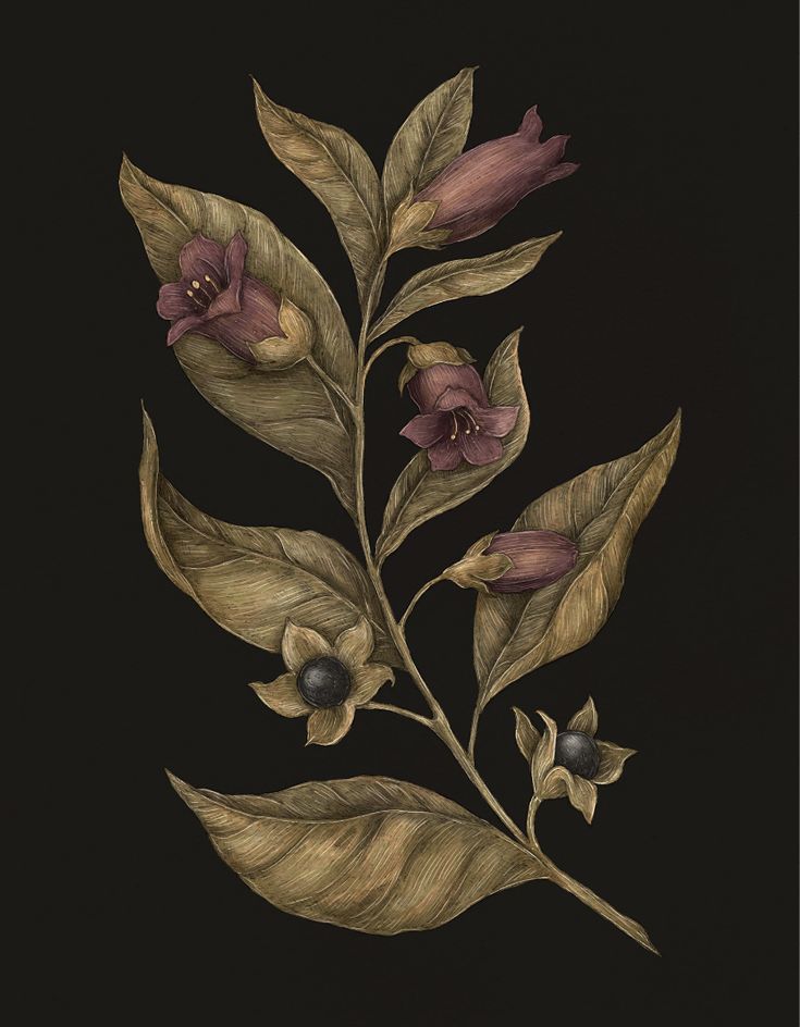 a painting of flowers and leaves on a black background