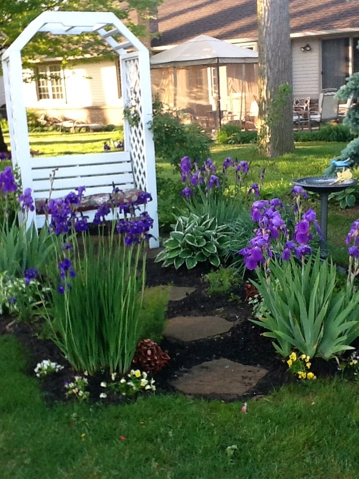 a garden with purple flowers in the middle and green grass on the ground next to it