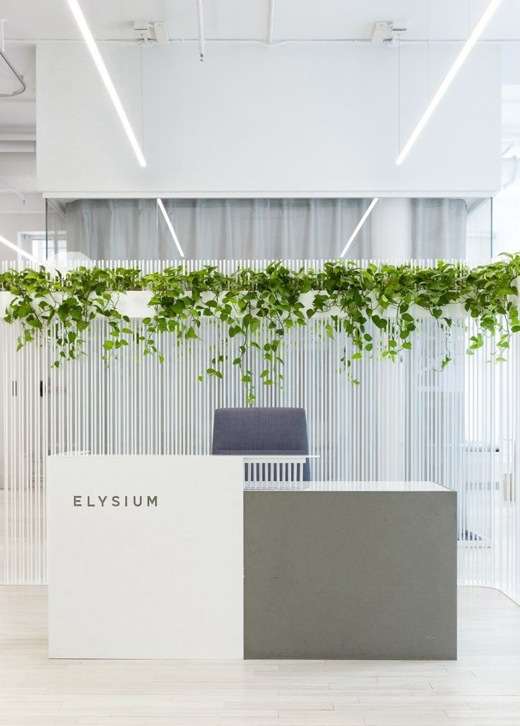 an office with plants growing on the wall