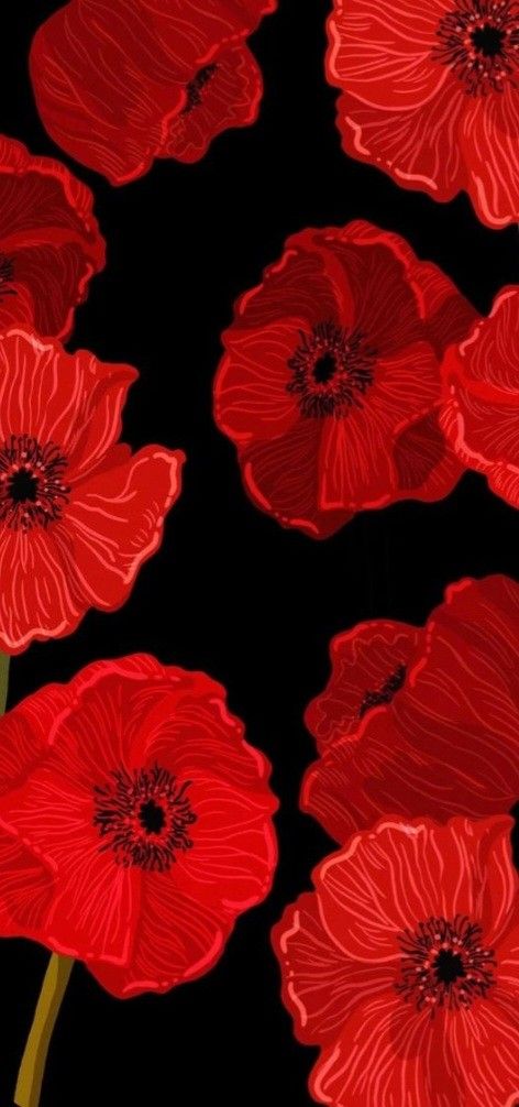 red flowers on a black background with green stems