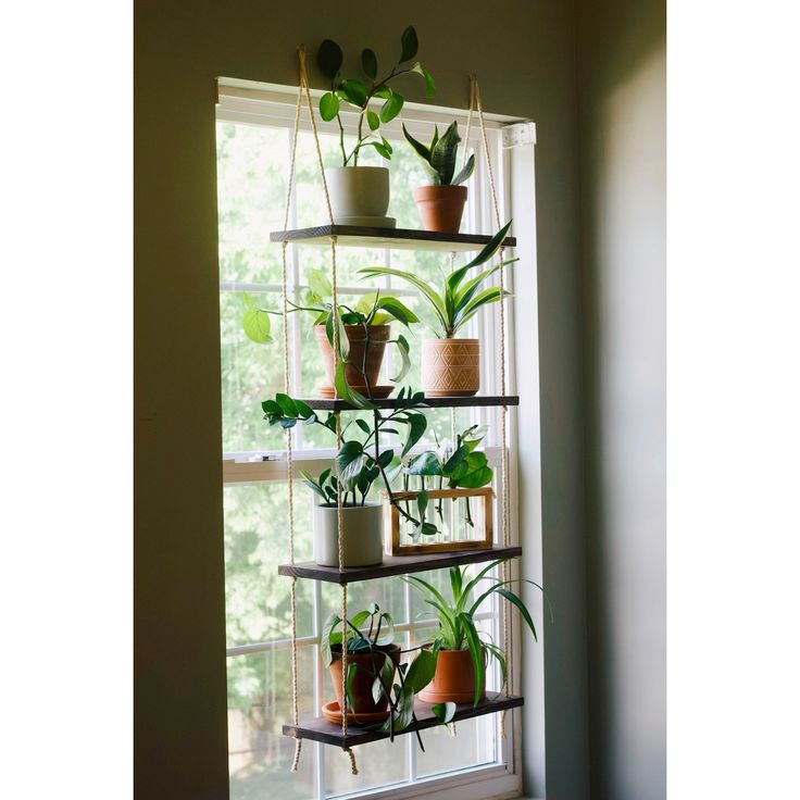 a window sill filled with lots of potted plants