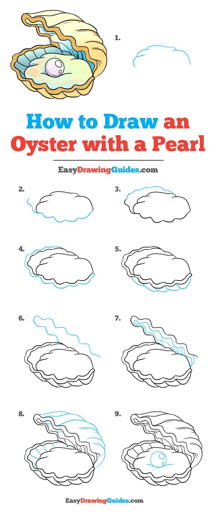 how to draw an oyster with a pearl step by step instructions for kids and adults