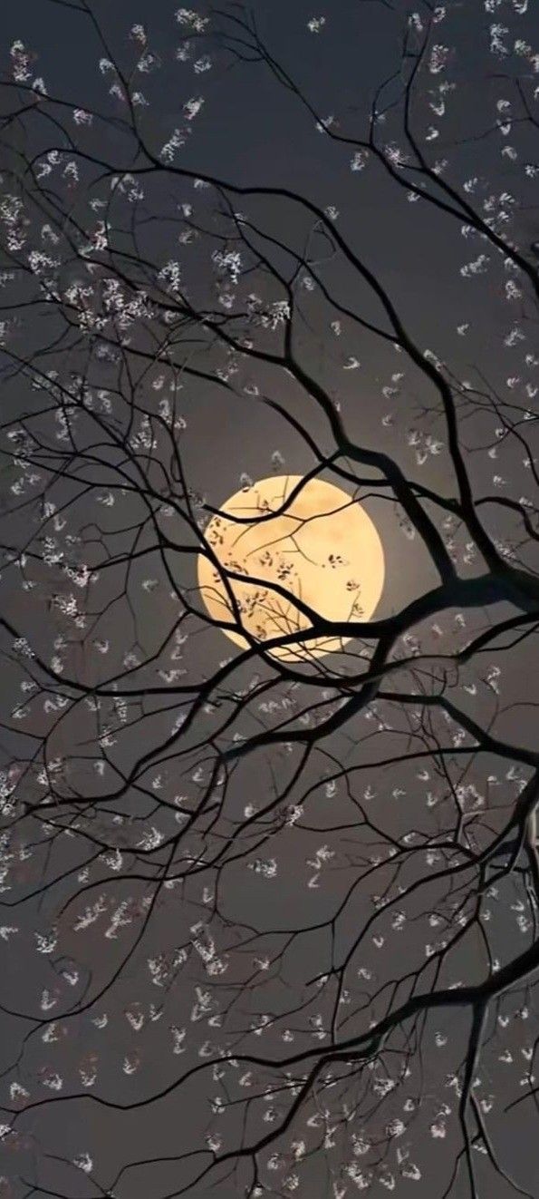 the full moon is seen through some tree branches