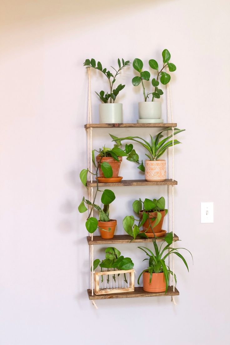 a wall mounted shelf filled with potted plants