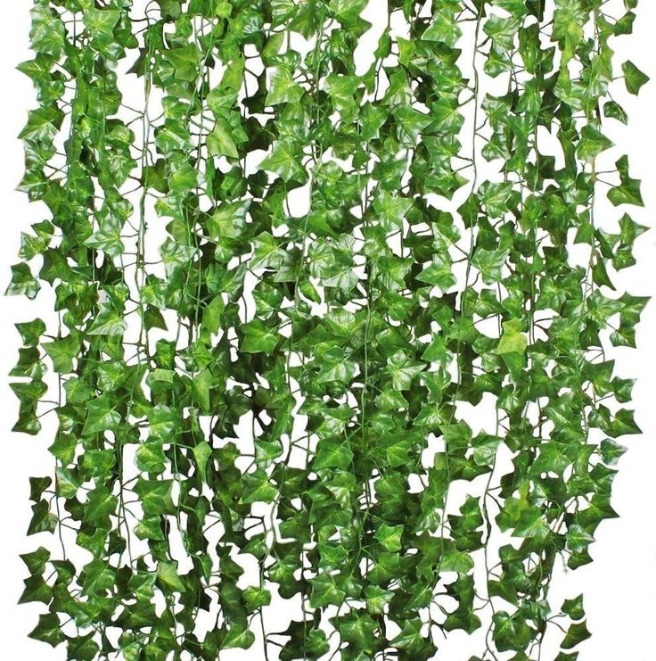 Artificial Ivy Vine - Sage & Sill Vine Decoration, Artificial Hanging Plants, Ivy Vine, Fake Plants Decor, Greenery Decor, Fleurs Diy, Ivy Plants, Garden Vines, Hanging Vines