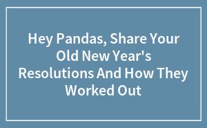 Scrungy Cats, Thanksgiving Riddles, Email Phrases, Funniest Texts, How To Pose For Pictures, Fake Window, Grey Hair Transformation, Forgotten Places, Grey Roots