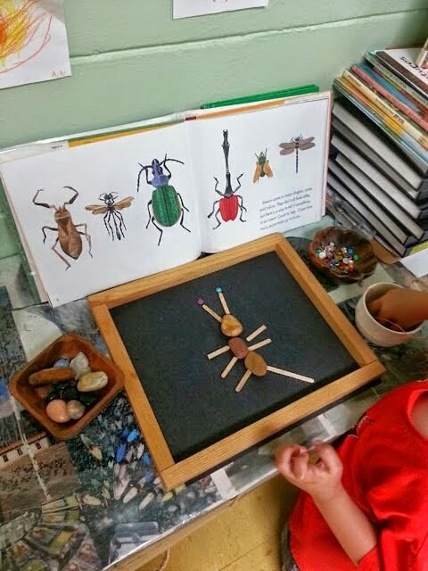 a little boy sitting in front of a table with pictures and bugs on the wall