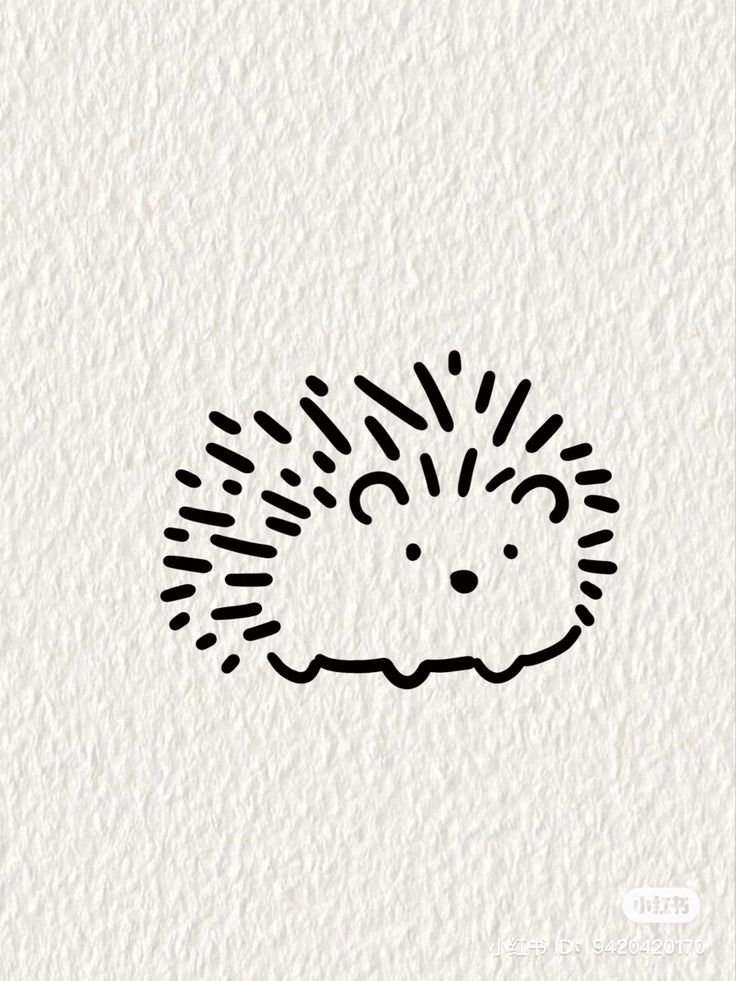 a black and white drawing of a hedgehog on a piece of paper with the words,