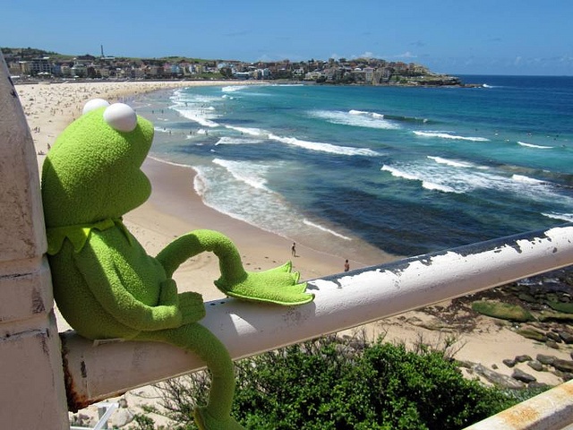 a green stuffed animal sitting on top of a rail next to the ocean and beach