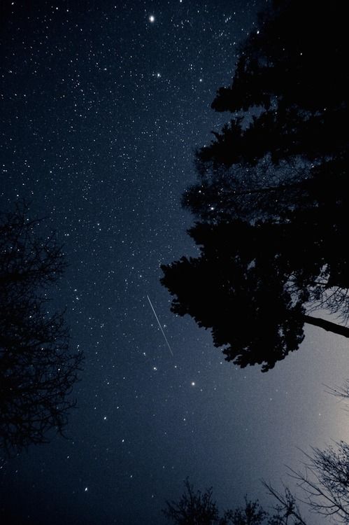 the night sky is filled with stars and trees