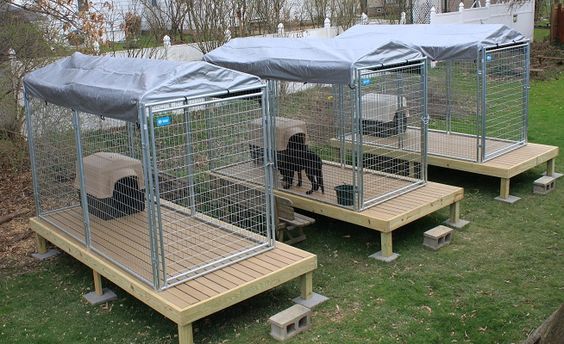 four cages with dogs in them on the grass