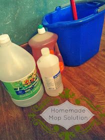 several cleaning products sitting on the floor next to a bucket